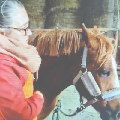 KINESIOLOGIE ANIMALE-nantes